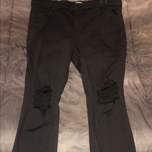 Men Express Pants